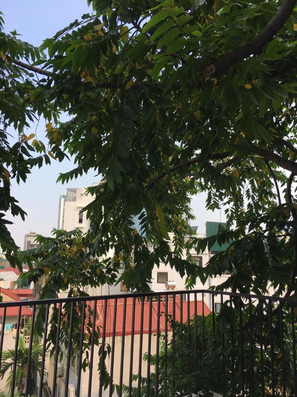 Palmo Hotel & Apartment 2 Hanoi Luaran gambar